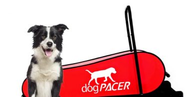 dogpacer treadmill review
