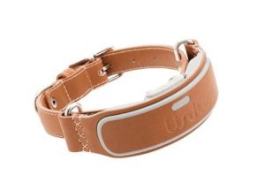 Link AKC leather collar with dog tracker activity feature.