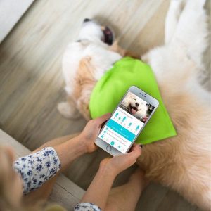 Real time dog GPS tracking in DOTT app