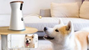 furbo dog camera review