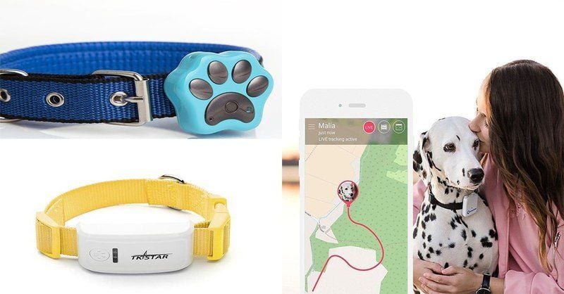 GPS dog collar is a dog gadget for tracking your dog's location