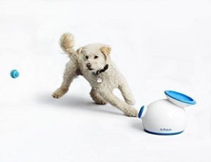 iFetch Interactive Ball Launcher review