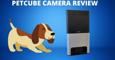 Petcube camera review featured image