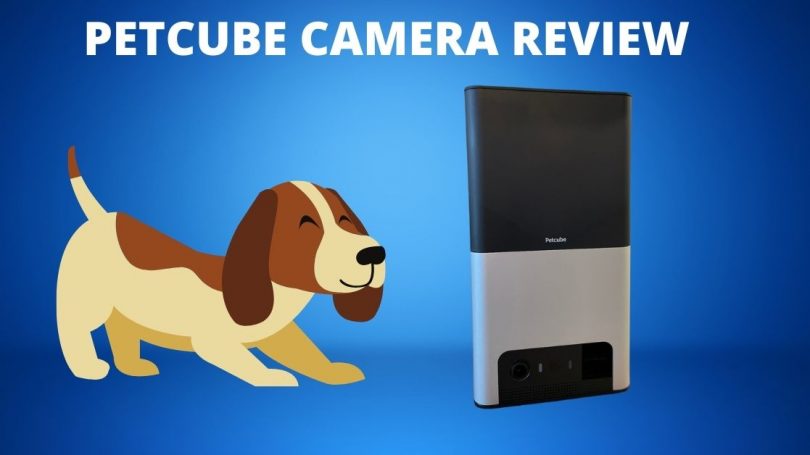 Petcube camera review featured image
