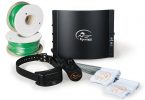 SportDOG In-Ground Dog Fence System Review
