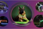 The selection of 5 best led collars on dogs of the list of 17 in our article.