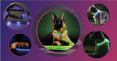 The selection of 5 best led collars on dogs of the list of 17 in our article.