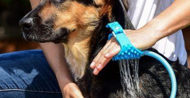 Aquapaw dog bathing glove review