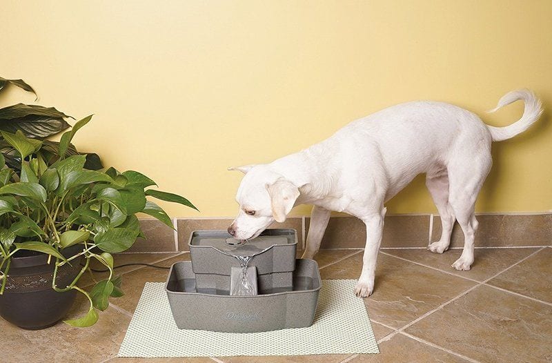 PetSafe Drinkwell Multi-tier Pet Fountain for dogs