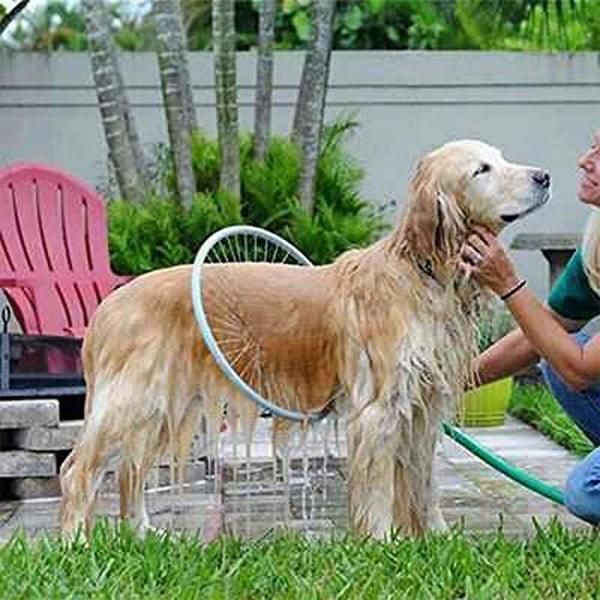 Dog owner is using a Woof washer Pet 360° for washing dog.