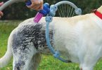 woof washer 360 for dogs