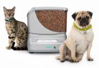 PortionPro Rx Pet Feeder Review