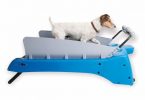 PetZen Dog Treadmill review