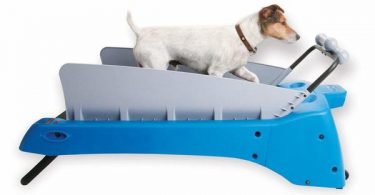 PetZen Dog Treadmill review