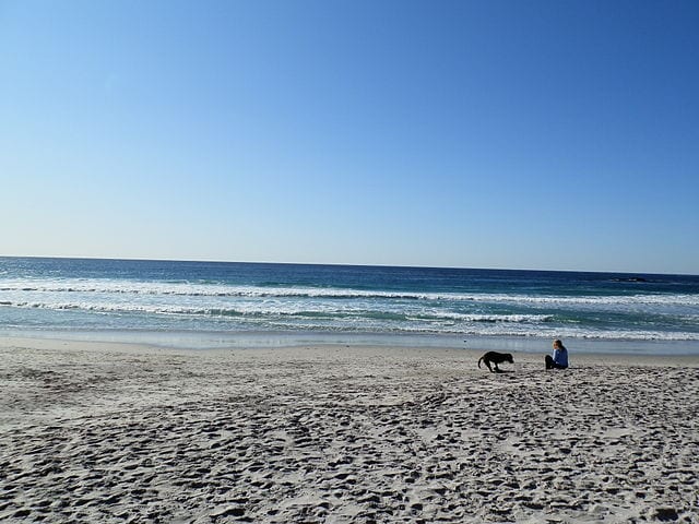 dog beach at Carmel-by-the-Sea 