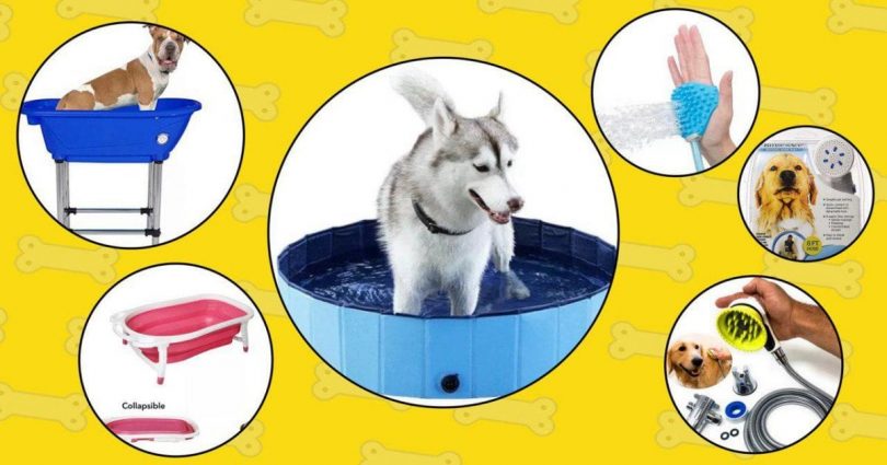 5 best dog bathing tools from the list