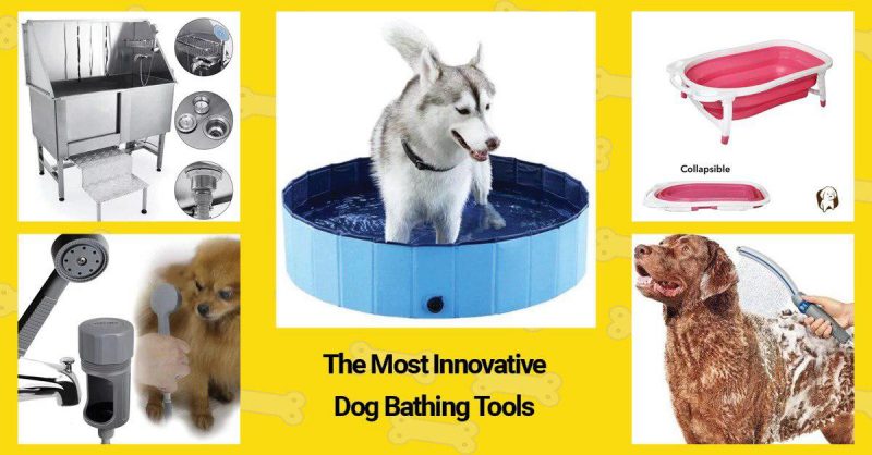 The best dog bathing tool from the list.