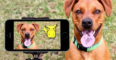 dog apps