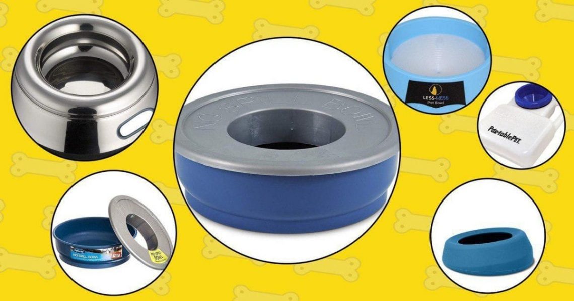 Best No Spill Dog Water Bowls in 2019