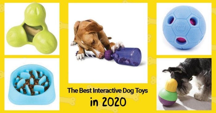 top interactive toys 2018
