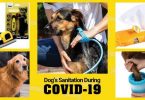 dog's sanitation during covid 19