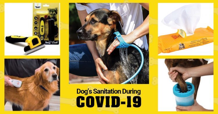 dog's sanitation during covid 19