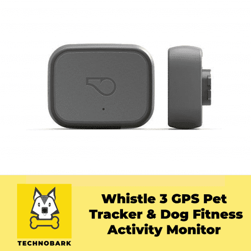 Whistle 3 dog activity tracker is a FitBit for dogs.