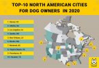 TOP-10 North American cities for dog owners infographic
