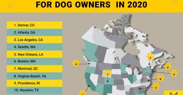 TOP-10 North American cities for dog owners infographic