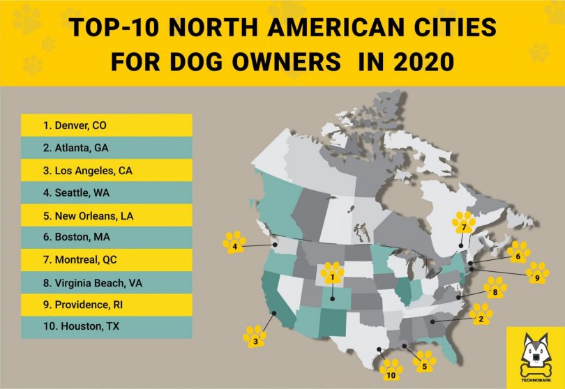 TOP-10 North American cities for dog owners infographic