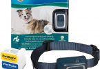 Petsafe Gentle Spray Bark Collar Review