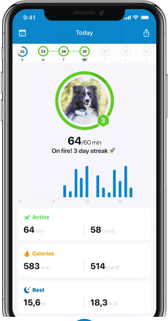 Stats of dogs activity on Tractive app