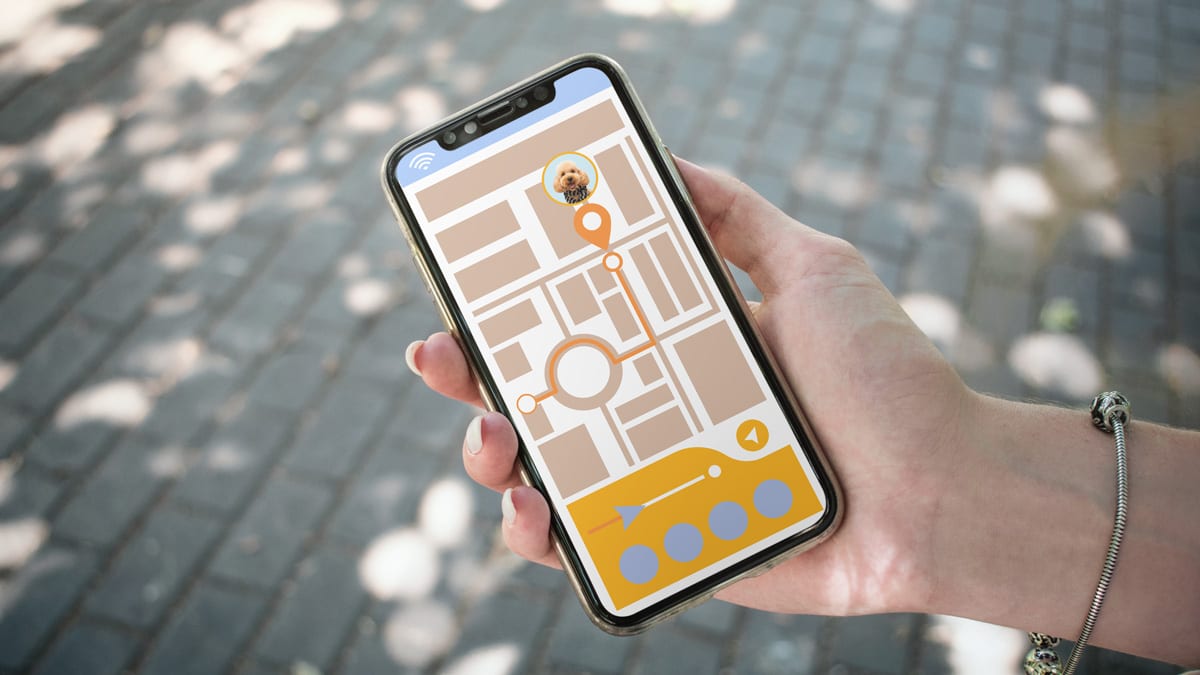 Tracking dog with iPhone