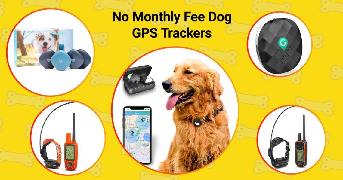 5 no fee dog GPS trackers.