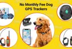 5 no fee dog GPS trackers.