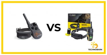 SportDOG training collar vs. Dogtra