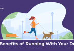 Benefits of running with your dog