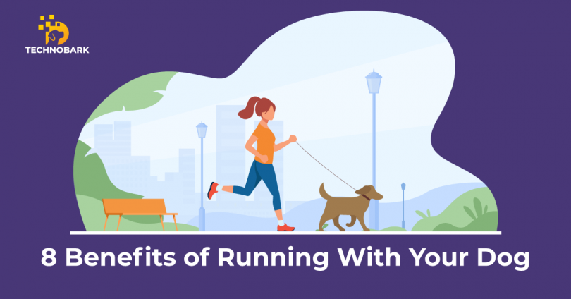 Benefits of running with your dog