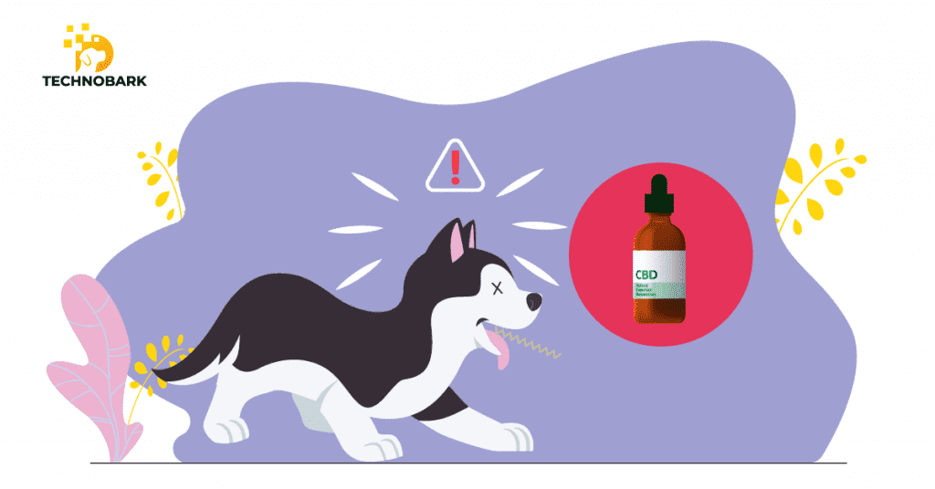 Antiemetic benefits of CBD for dogs.