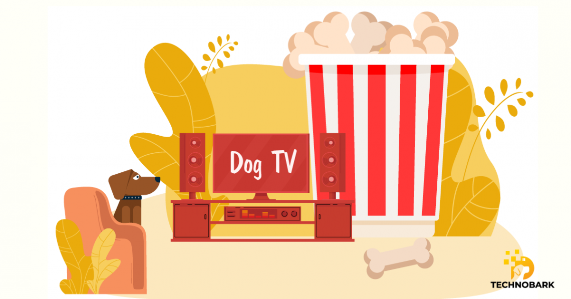 what is dish dogtv