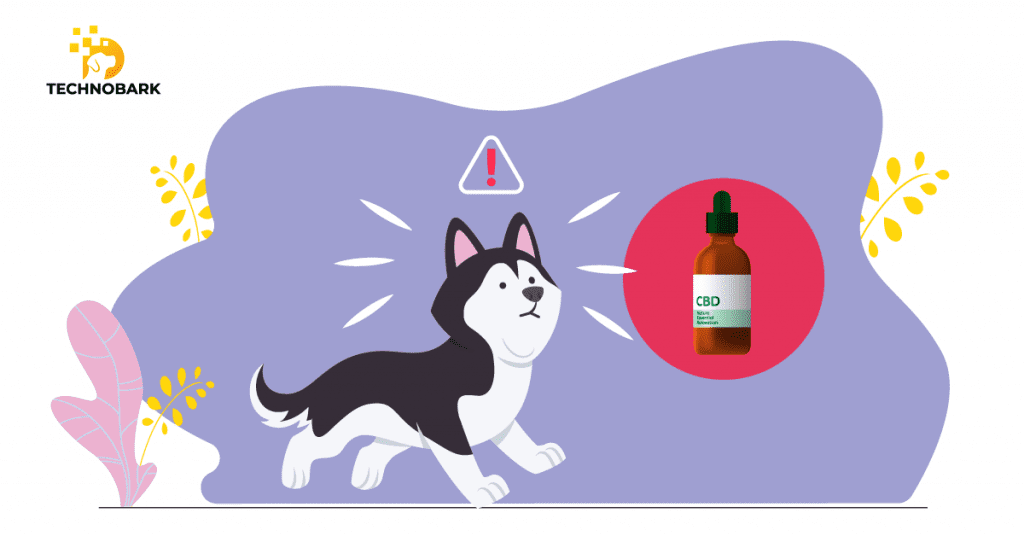 Similar to humans, CBD helps dogs with glaucoma.