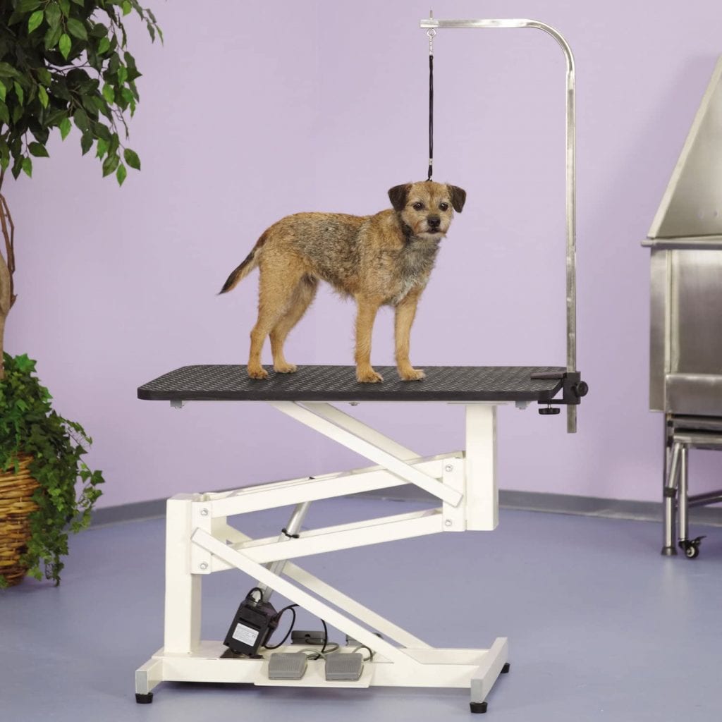  Master Equipment Electric table is used for dog grooming purposes