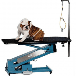 French Bulldog on the PetLift MasterLift Low-Rider Electric Grooming Table thumbnail