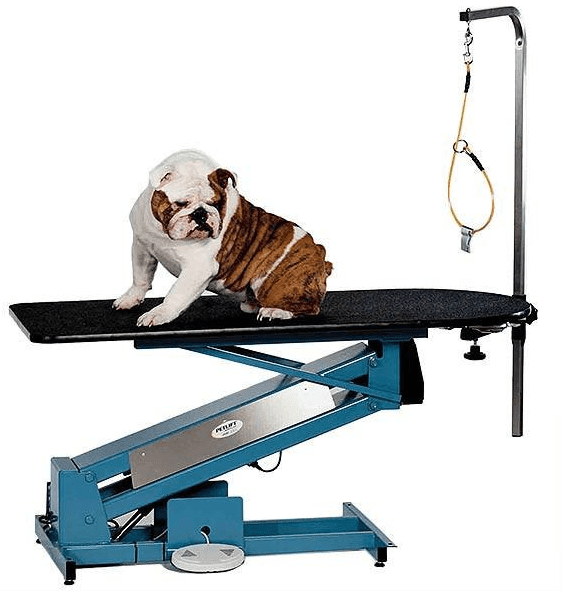 French Bulldog on the PetLift MasterLift Low-Rider Electric Grooming Table