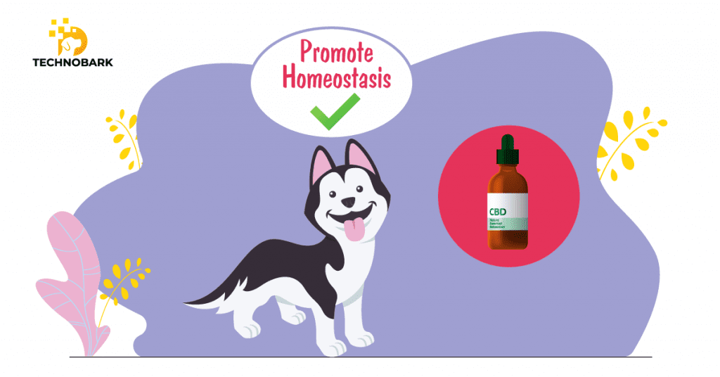 CBD promotes homeostasis for dogs.