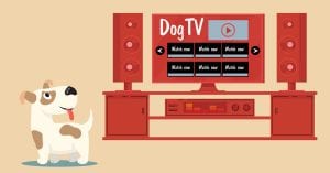 Shows on DogTV
