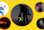 Best LED vests for dogs