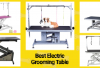 Best Electric Grooming Table in 2021