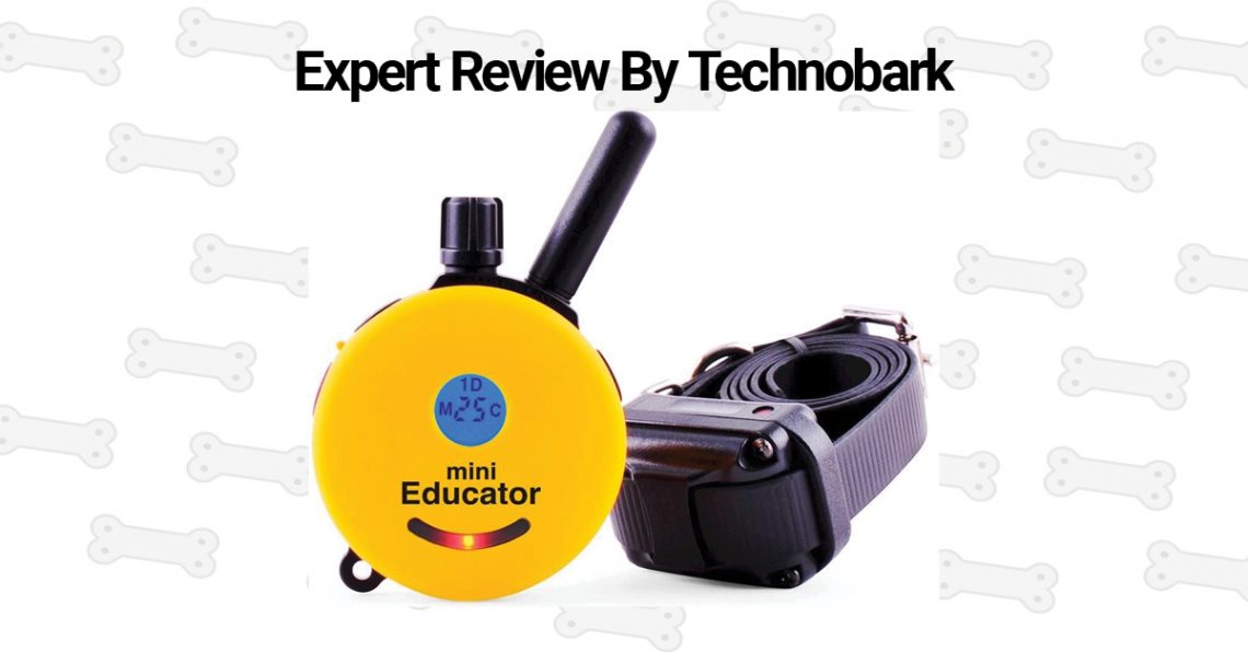 Mini educator review by Technobark