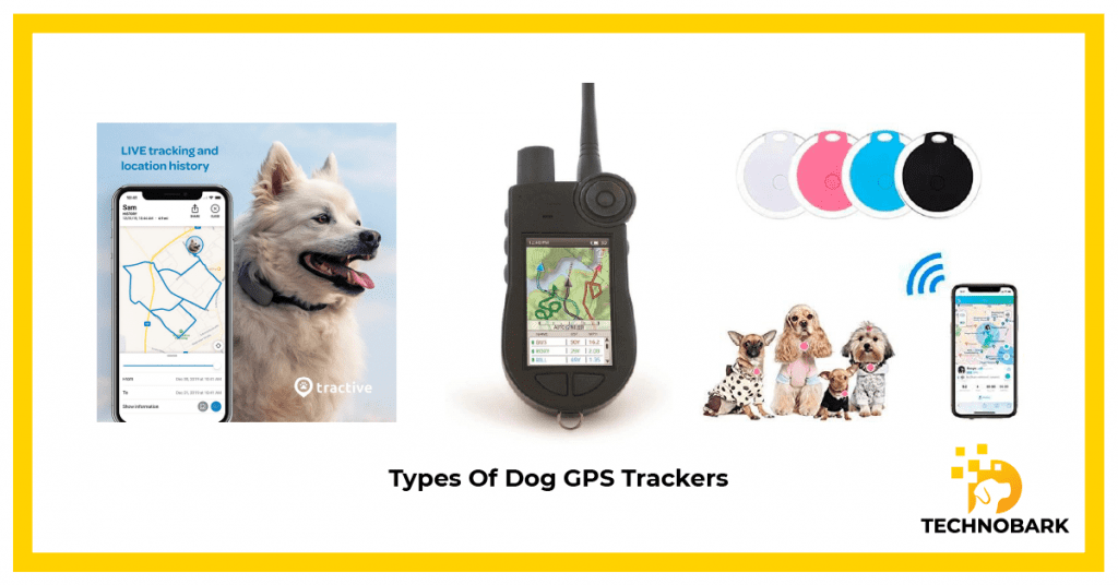 Bluetooth, GPS and no cell service dog tracking collar types